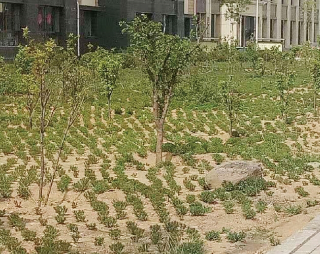 包頭棚戶區(qū)改造,住宅及社區(qū)內道路、園林綠化、亮化工程